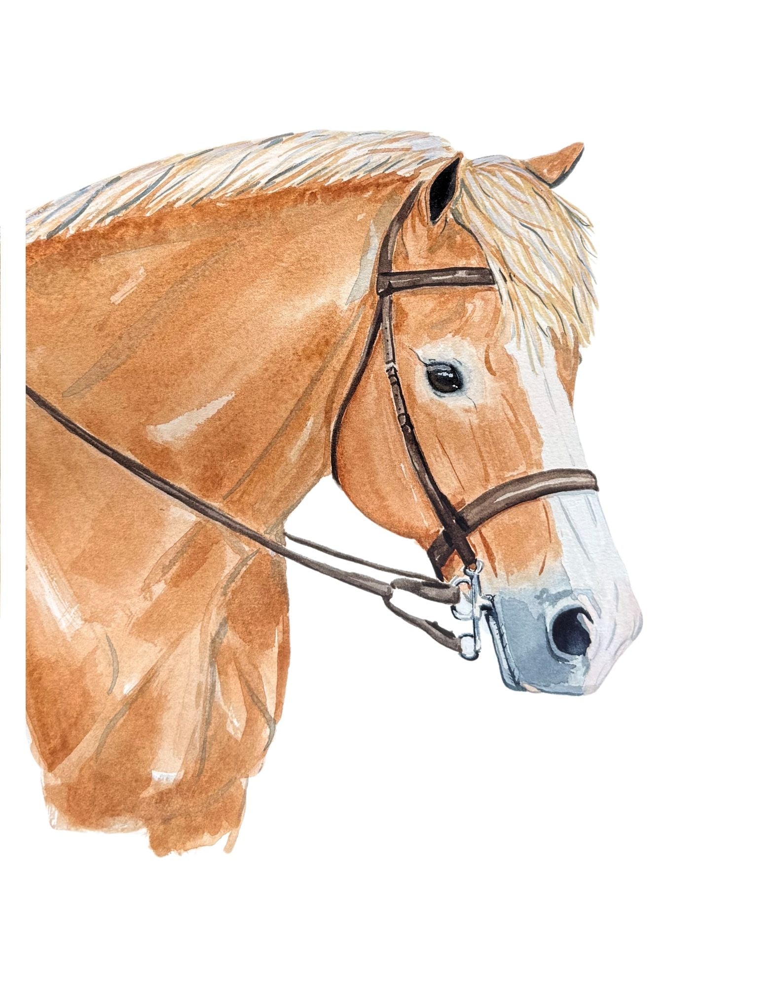 Bridled Haflinger Print
