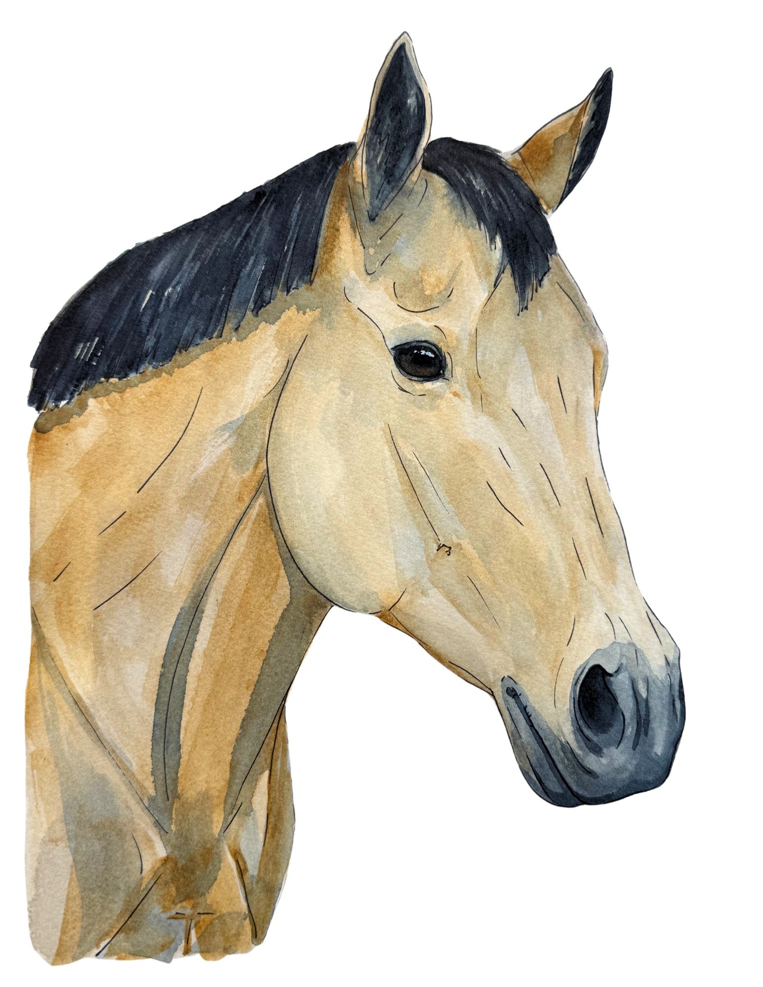 Buckskin Muse Print