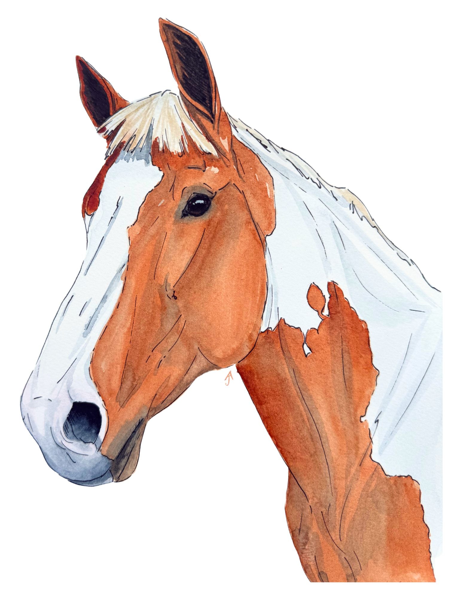 Painted Chestnut Blaze Print