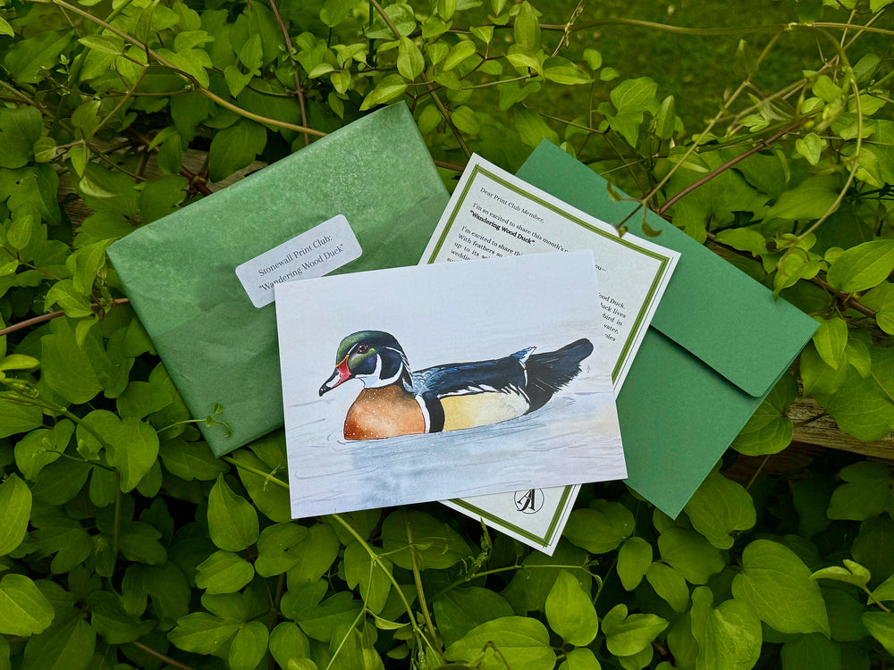 Print Club