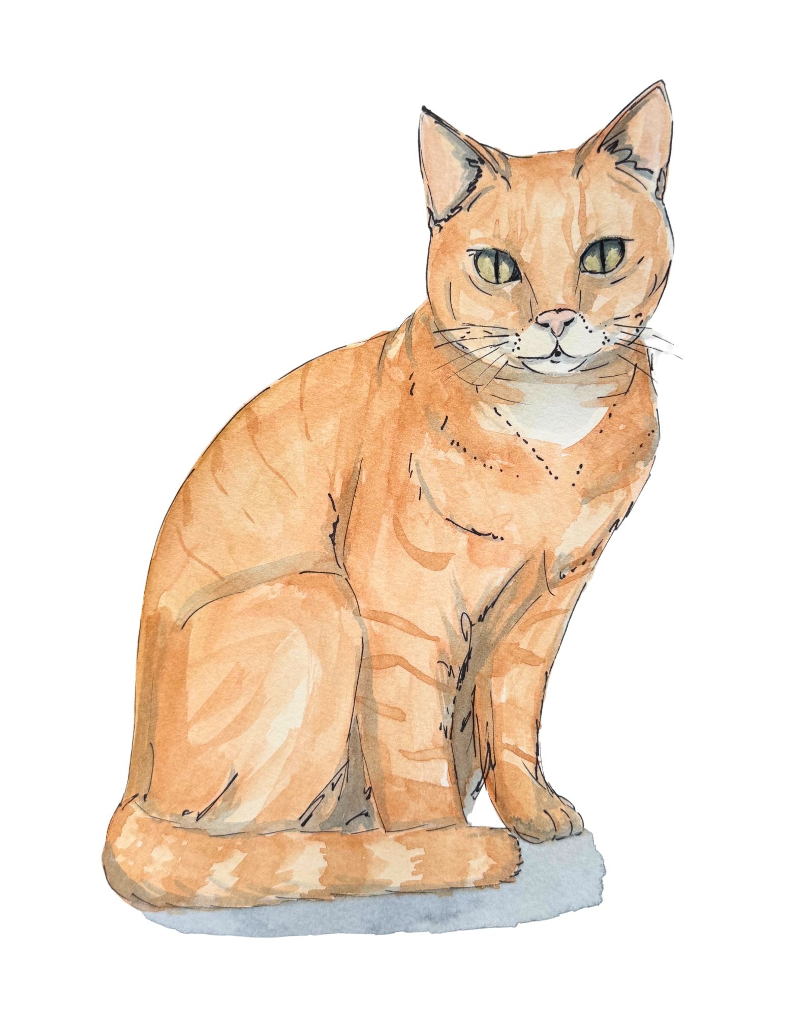 Typical Orange Cat Print