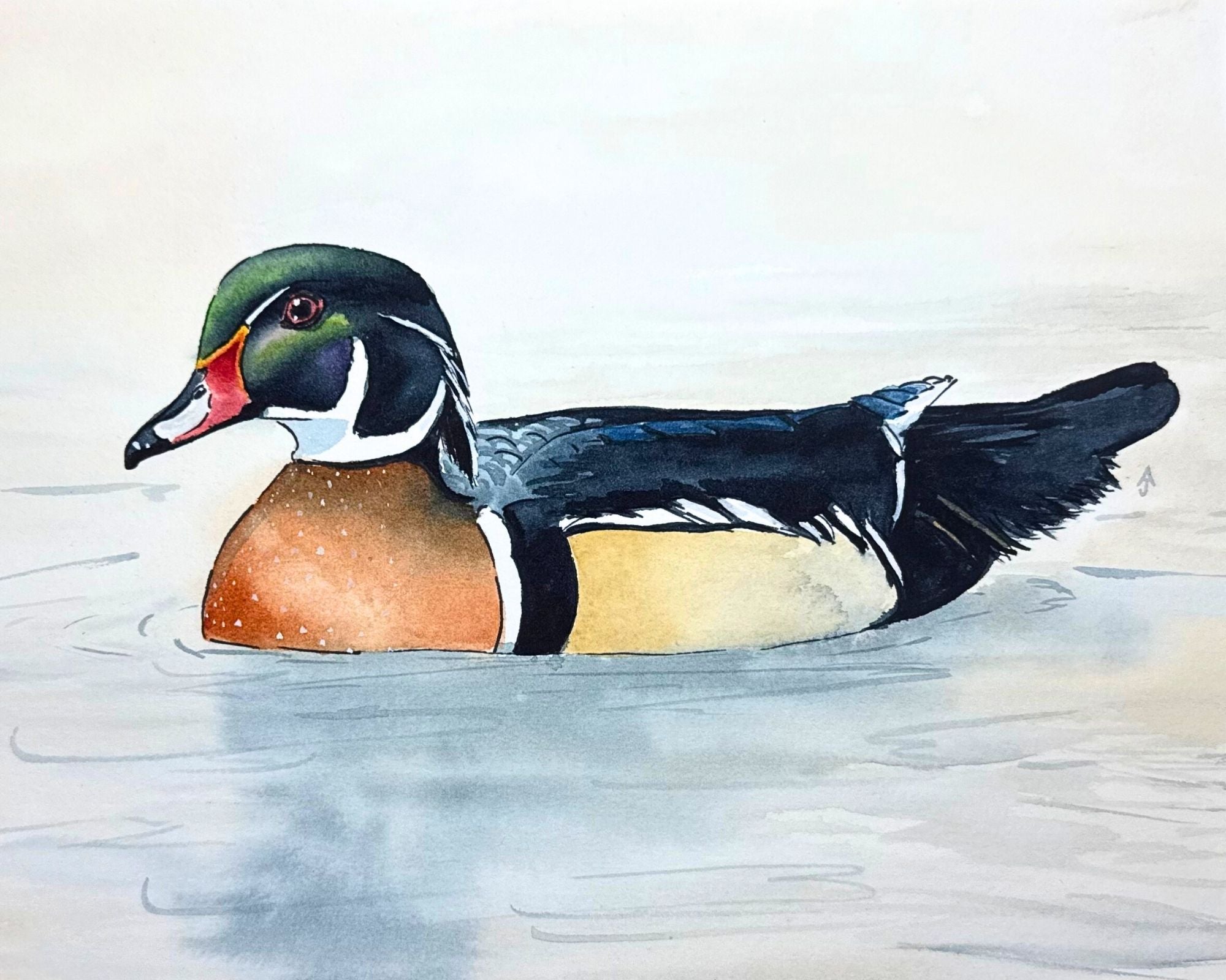Wandering Wood Duck Print