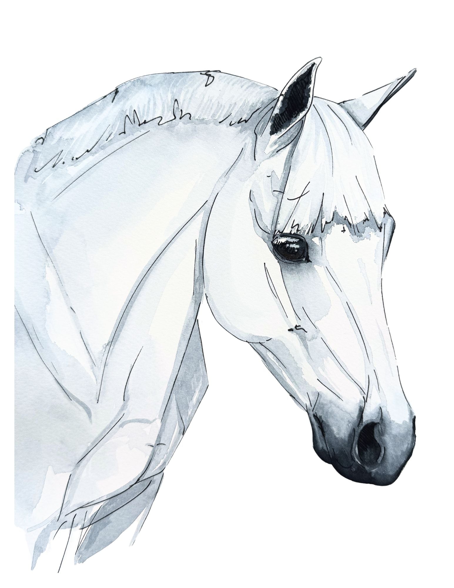 White Wonder Pony Print