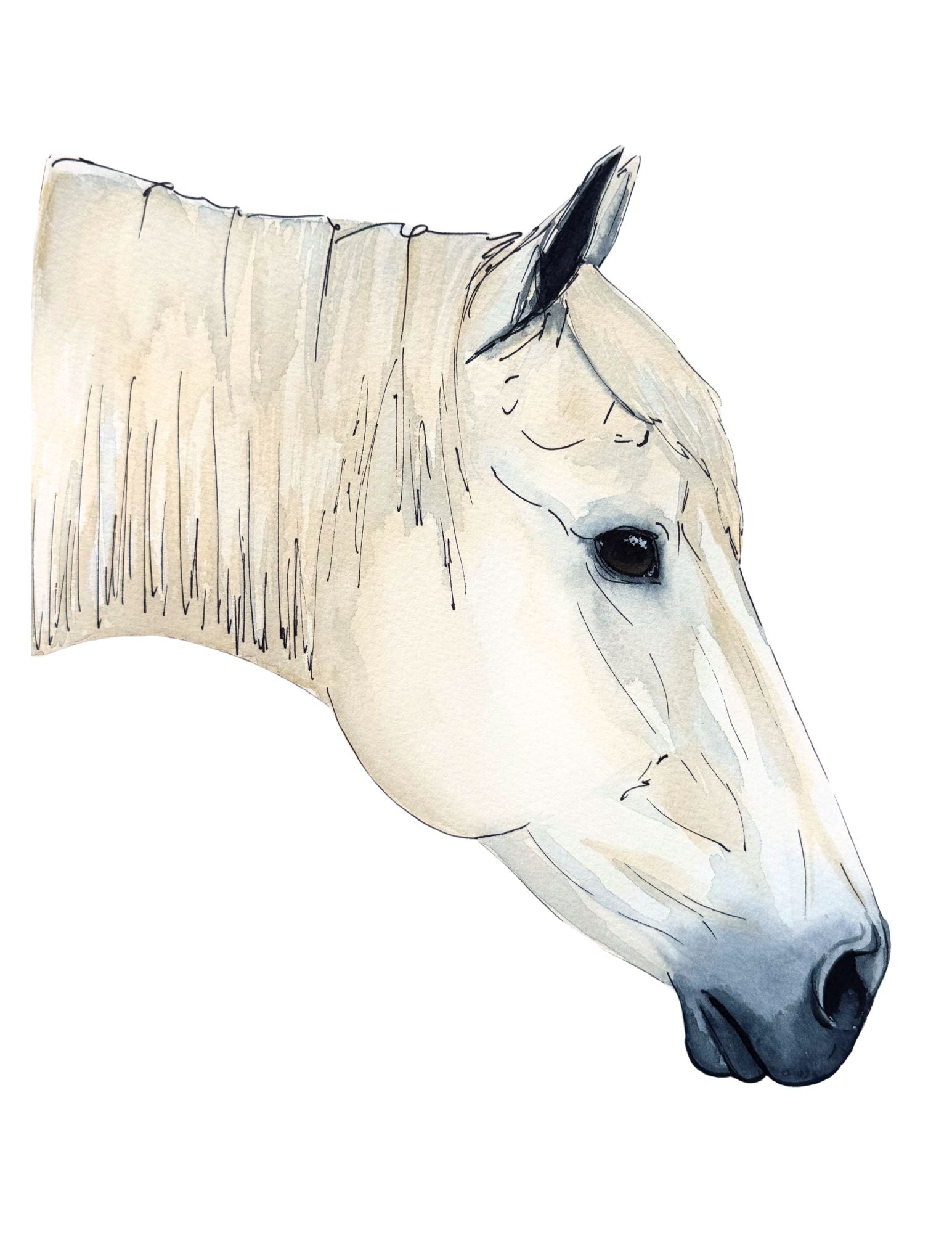 Palomino's Ghost Print