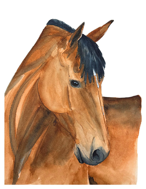 Bay Spirit Print