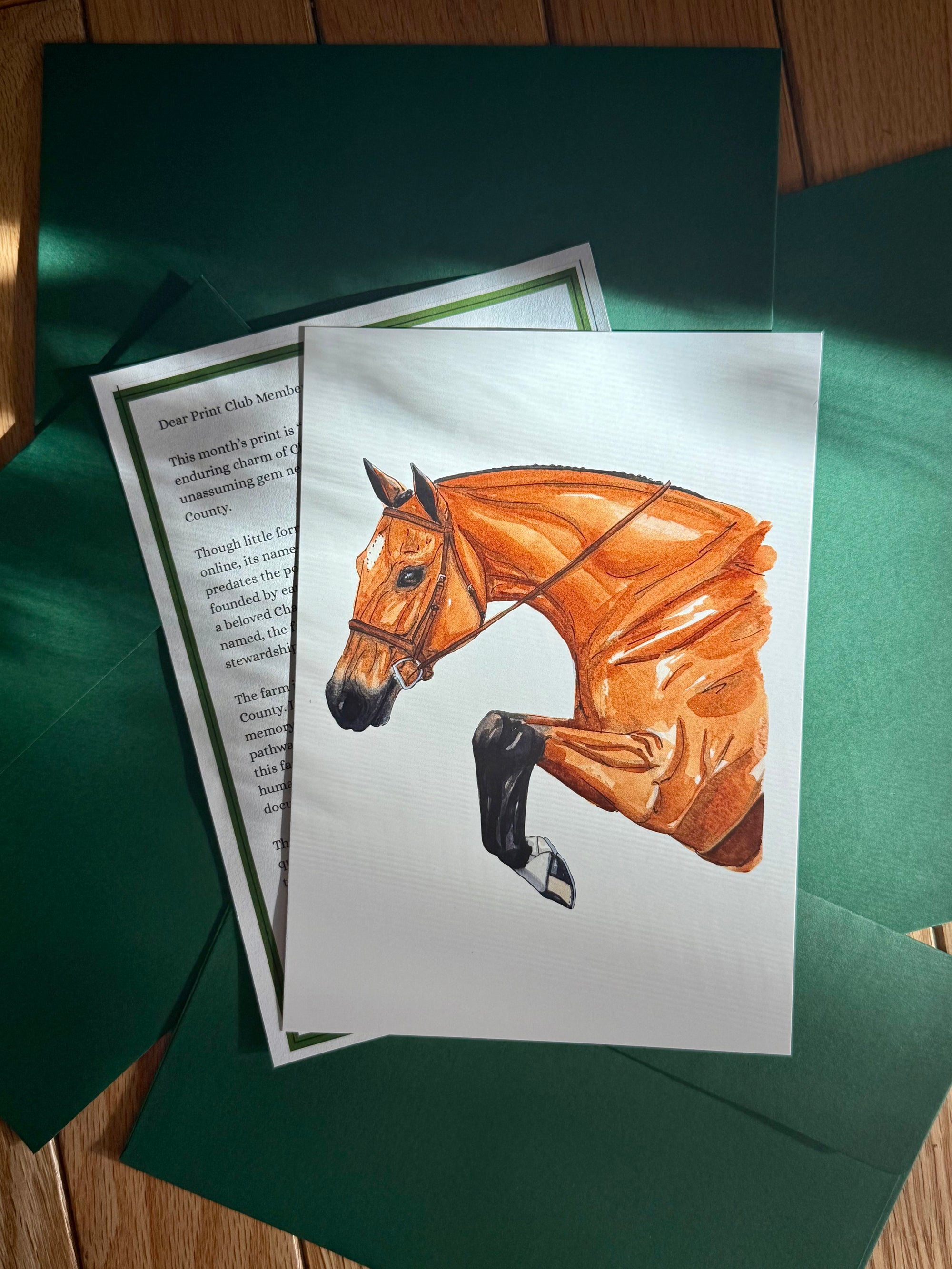 The Ringside Print Club - Equestrian Mail Club