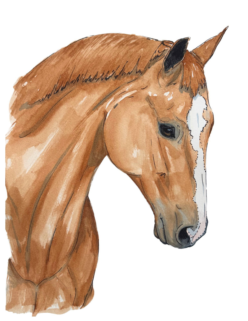 chestnut horse