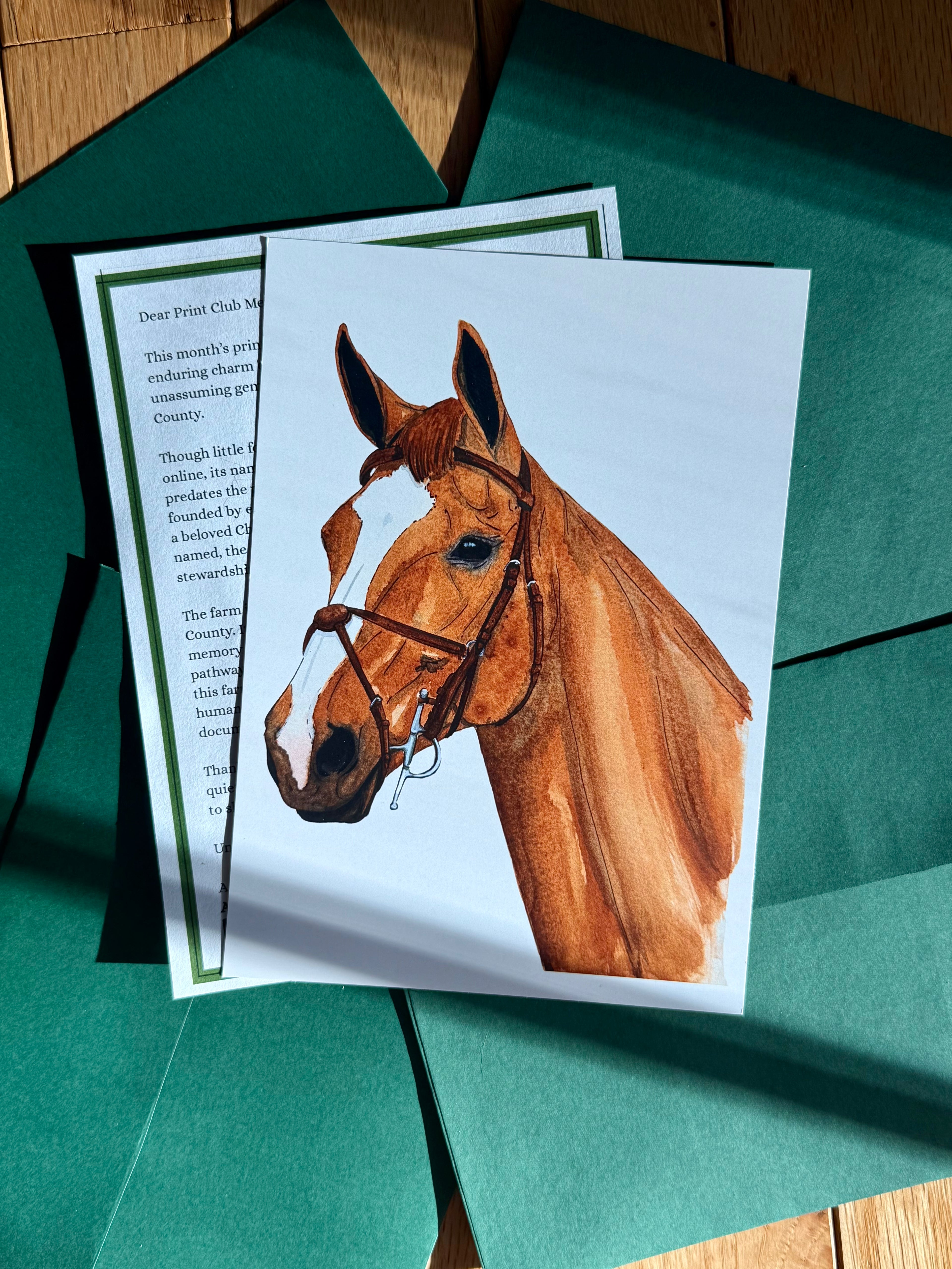The Ringside Print Club - Equestrian Mail Club